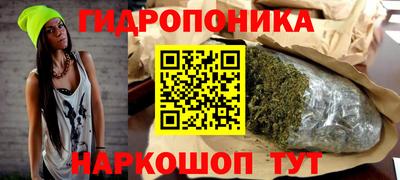 стаф Новокубанск