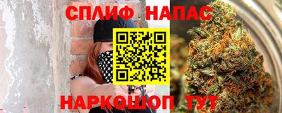 стаф Новокубанск