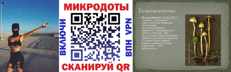 Псилоцибиновые грибы ЛСД  наркота  Новокузнецк 