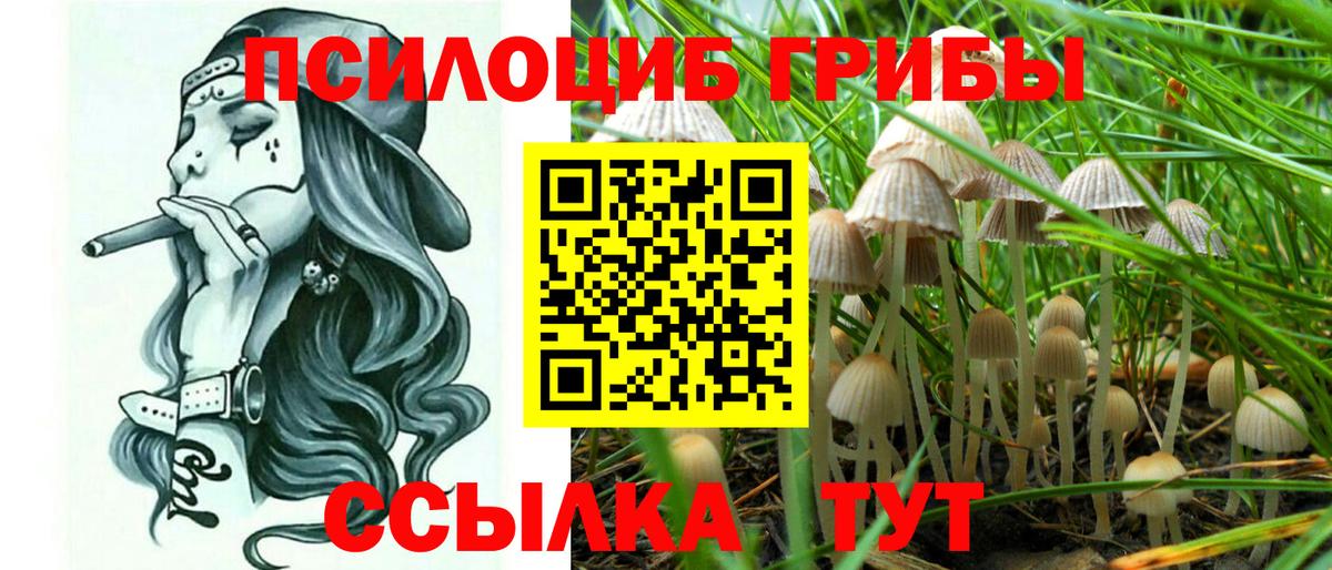 Новокузнецк  Галлюциногенные грибы MAGIC MUSHROOMS  Вход с VPN 