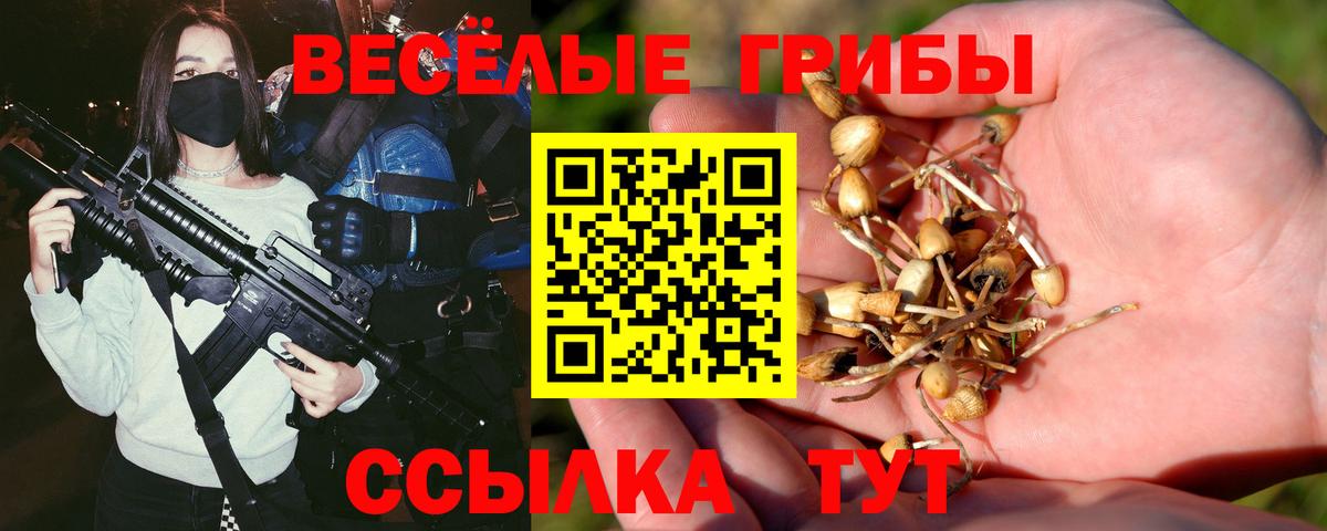 Псилоцибиновые грибы GOLDEN TEACHER Новокузнецк